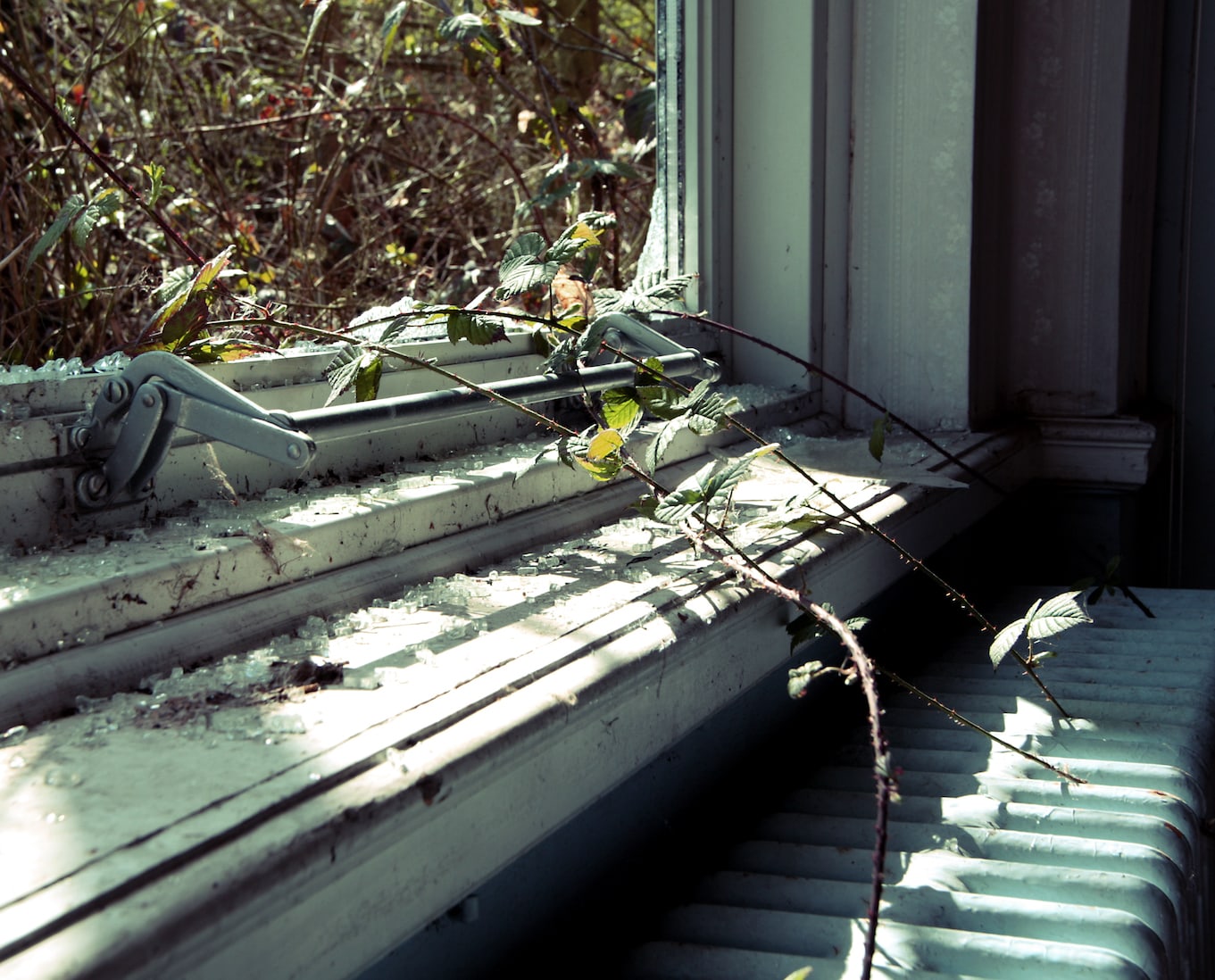 abandoned-urbex-3398613389_0f9ed27ace_o.jpg