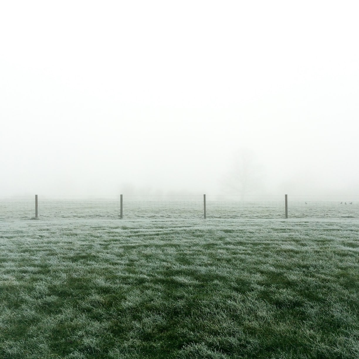 mist-fog-image-747_16551839902_o.jpg
