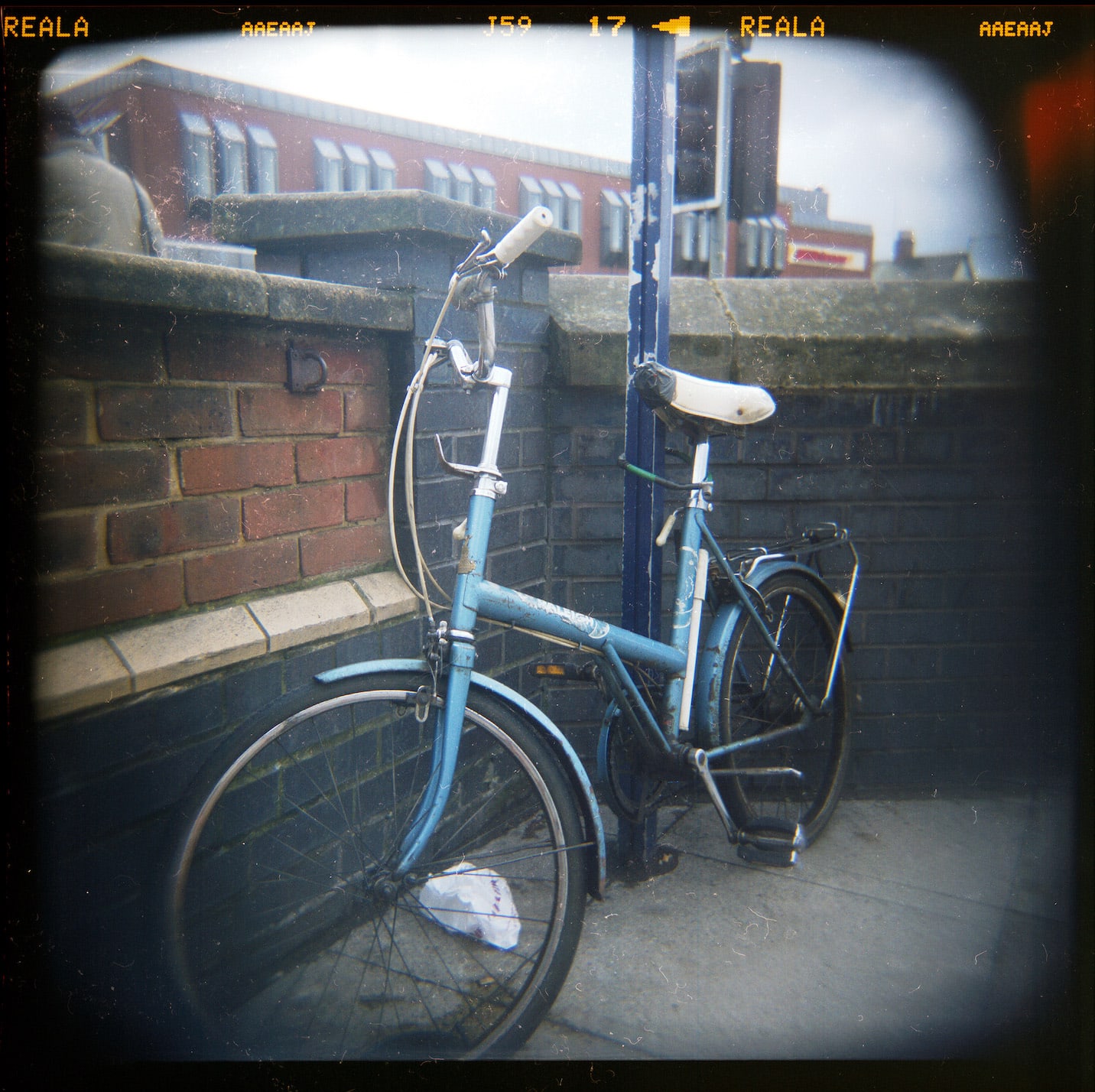 stafford-diana-125-521438768_e22540cf4f_o.jpg